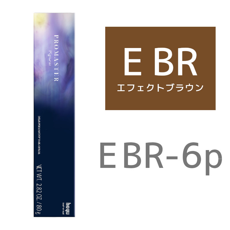 hoyu ホーユー プロマスター ピグメント E BR－6P